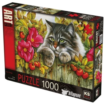 puzzle-KS-1000-pcs