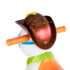 chicco-porteur-rodeo-et-ses-amis