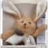 Hochet-Lapin
