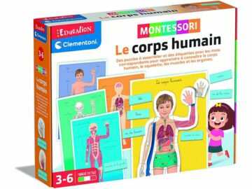 Montessori-le-corps-humain