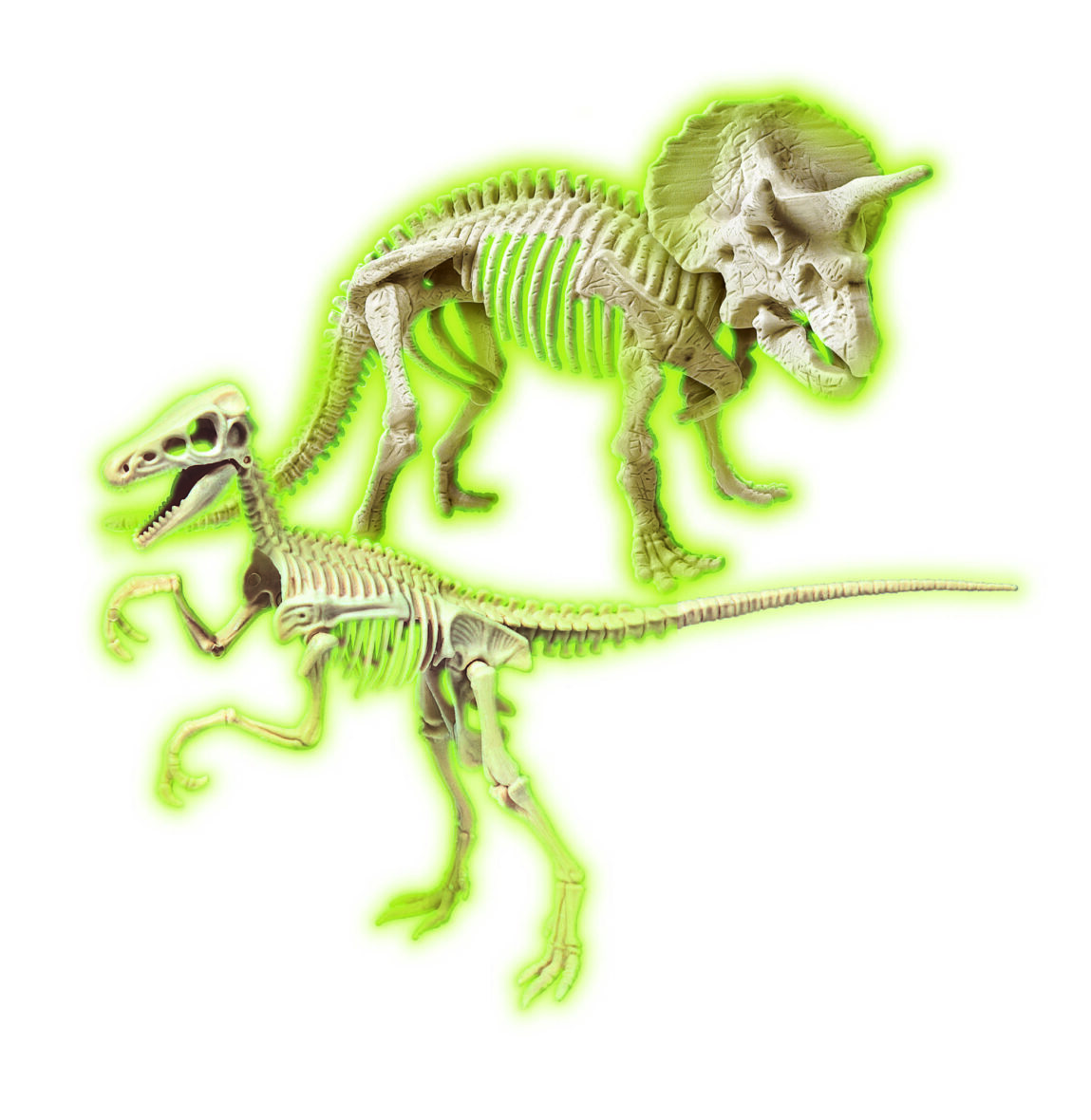 les-squelettes-des-dinosaures .1