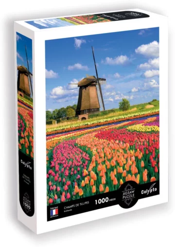 Puzzle-1000-pieces-champs-de-tulipes