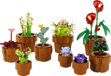 Les-plantes-miniatures