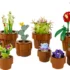 Les-plantes-miniatures