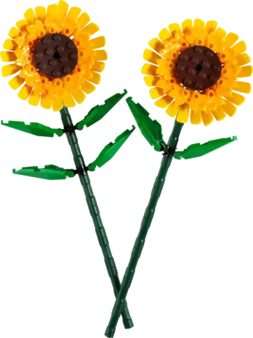 ego-Tournesols