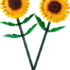 ego-Tournesols