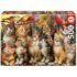 Puzzle 500 pièces Chatons et oiseaux - Educa