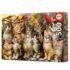 Puzzle 500 pièces Chatons et oiseaux - Educa
