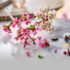 Lego-iconic-40725-Les-Fleurs-De-Cerisier