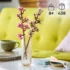 Lego-iconic-40725-Les-Fleurs-De-Cerisier