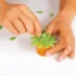 Ma-fabrique-a-bougies-clementoni