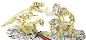 Archeo-ludic-proies-et-predateurs