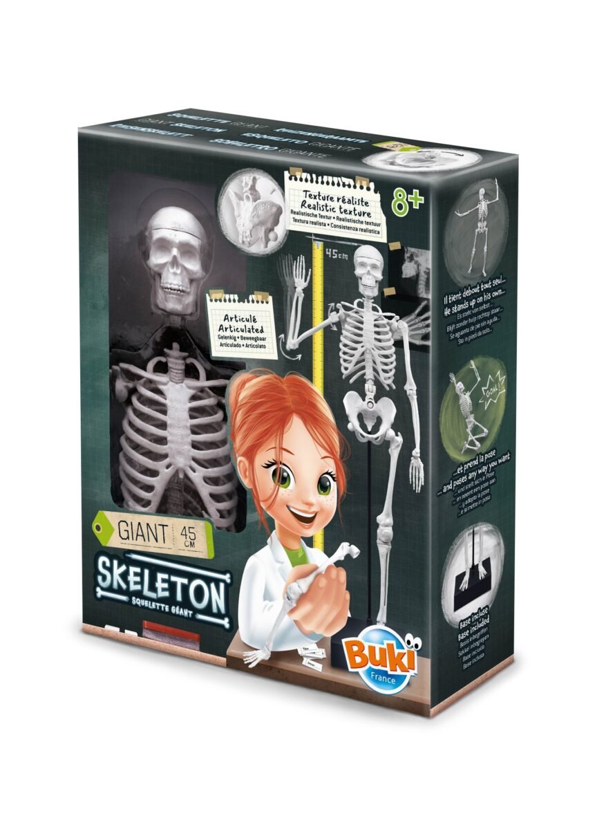 Squelette 45cm – Buki