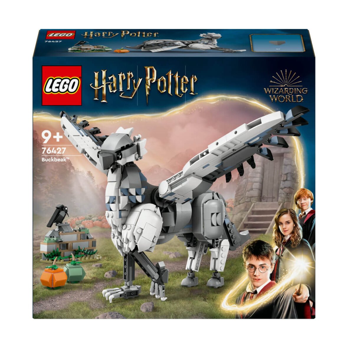HARRY POTTER BUCK