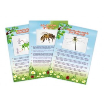 aspirateur-pour-capturer-et-observer