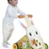 marche-multi-activites-Lapin-de-Janod
