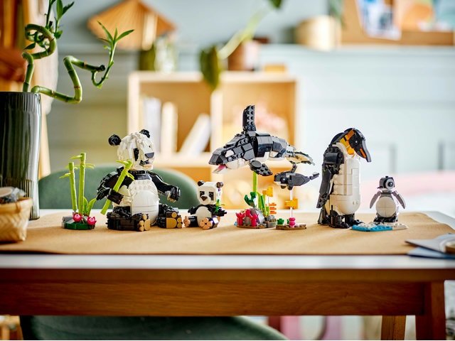 Cadeau d’anniversaire Original Fille ou Garçon 8 Ans