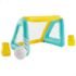 GOAL-INTEX