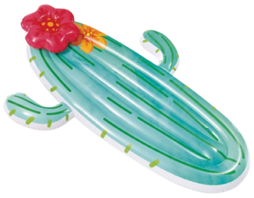 matelas_cactus-removebg-preview