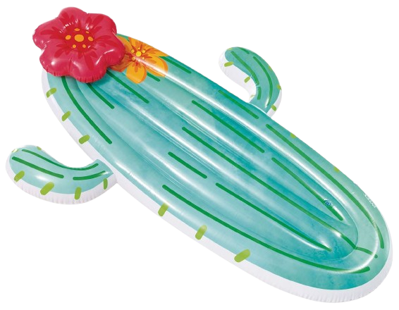 Matelas Cactus – Intex