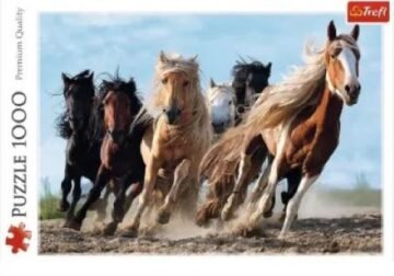 puzzle 1000 chevall