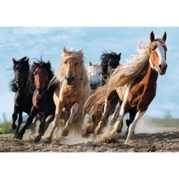 puzzle 1000 chevaux au galop