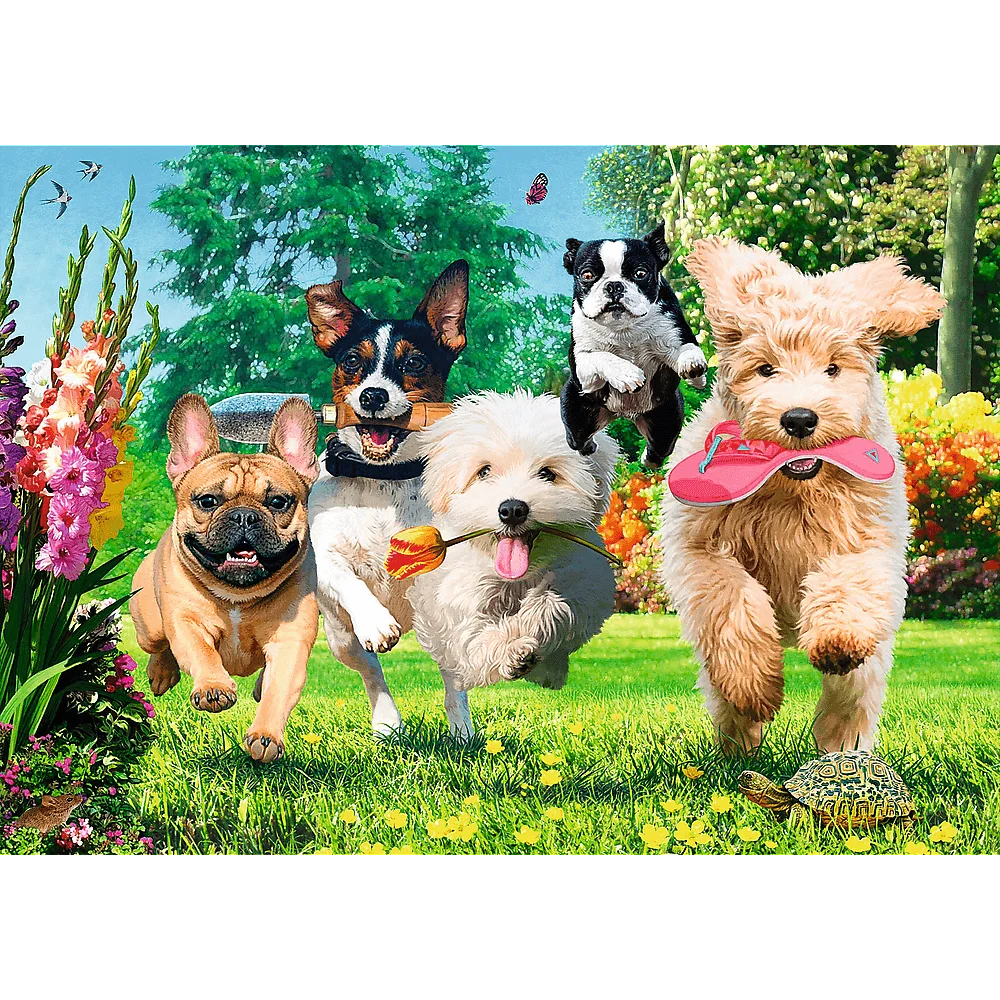 puzzle premium
