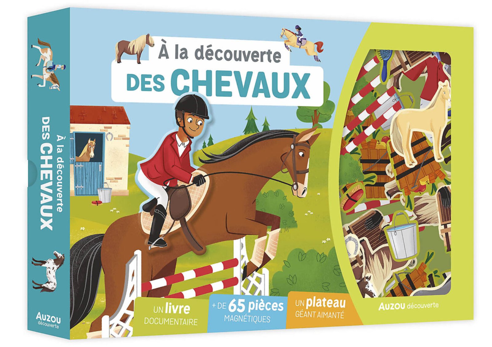 À  la Découverte Des Chevaux – Auzou