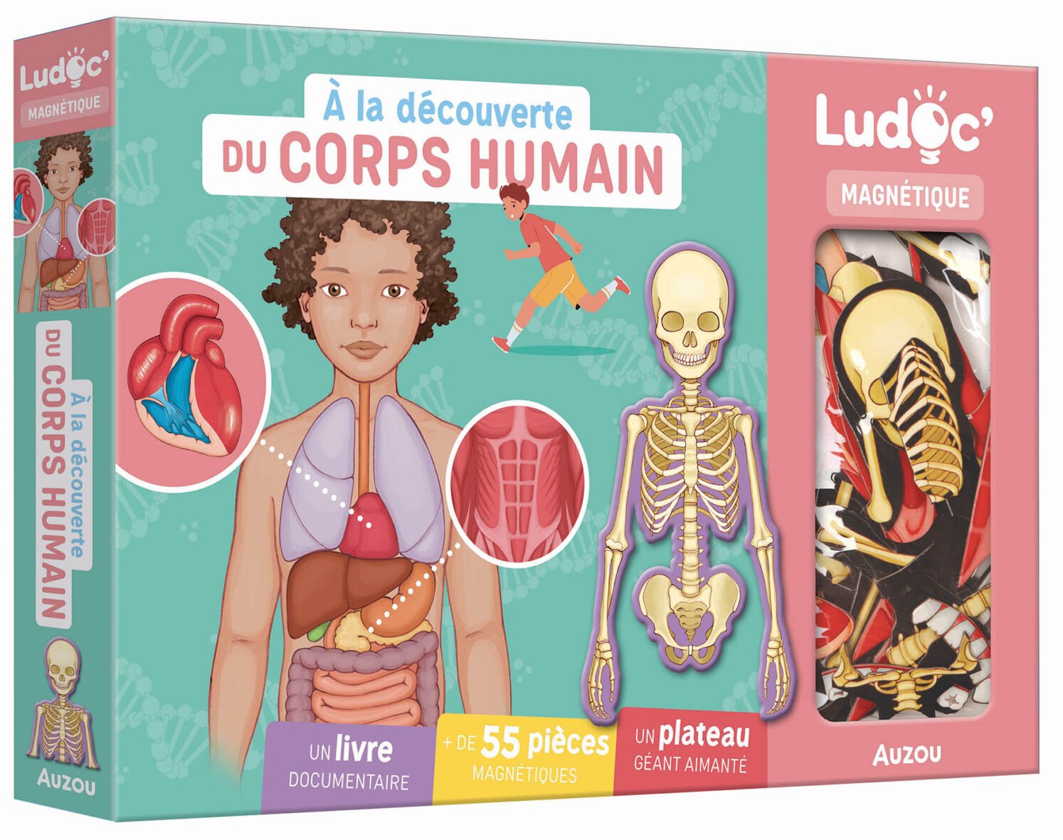 À La Découverte Du Corps Humain – Auzou