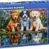 Puzzle-les-petit-chiots-1000-piece-KS-Games.