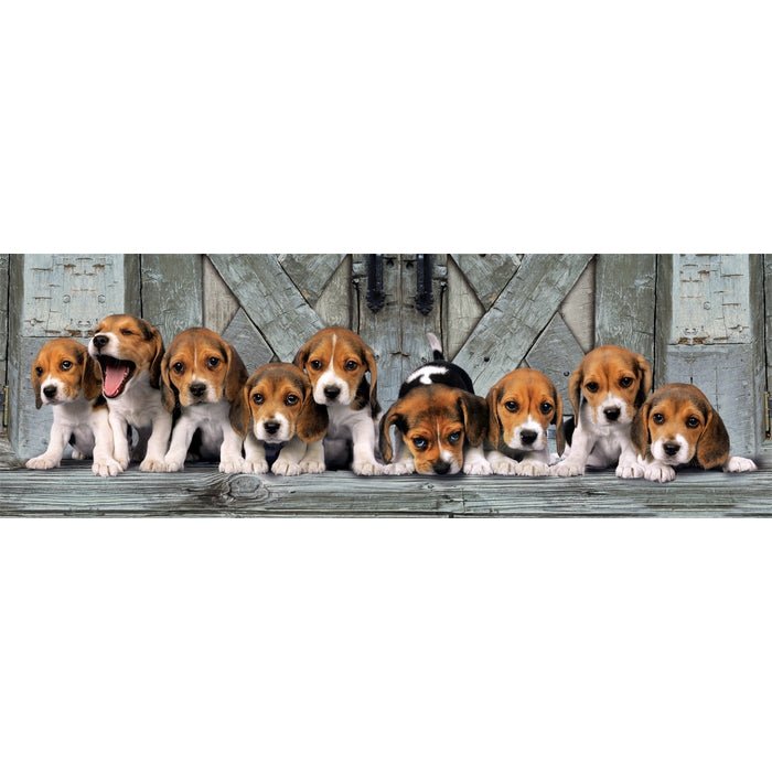 Puzzle 1000 pièces Panorama – Beagles