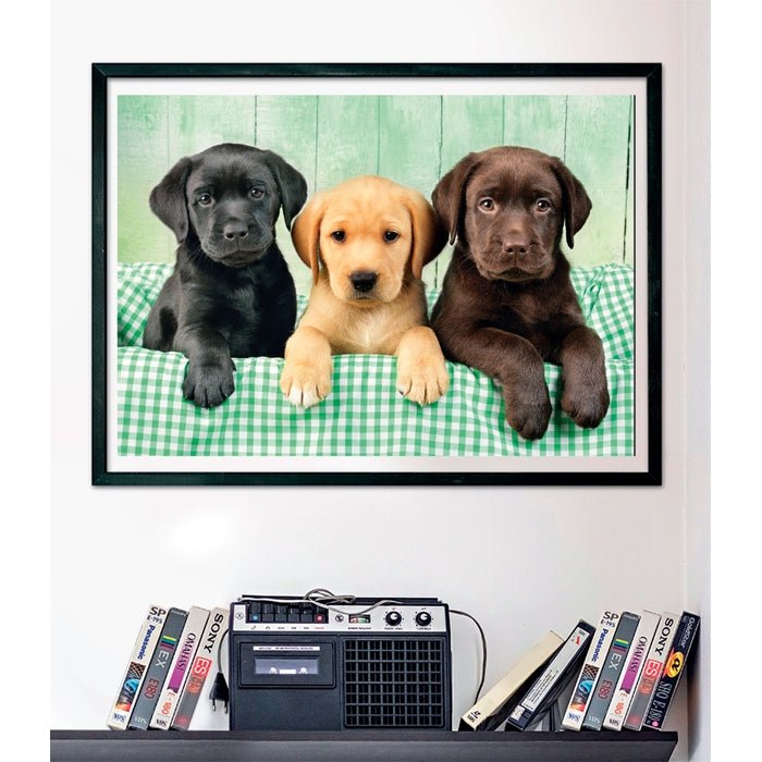 Clementoni – Puzzle 1000 pièces Trois Labradors (Three Labs) – Compact Box