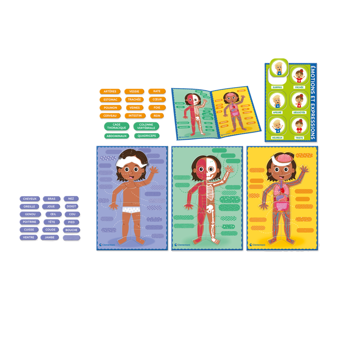 Clementoni Montessori – Le Corps Humain