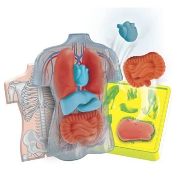 Coffret Scientifique – Mini Labo d’Anatomie – Clementoni