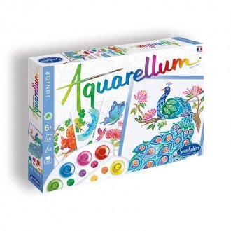 Aquarellum Junior Dans Le Parc – Sentosphère