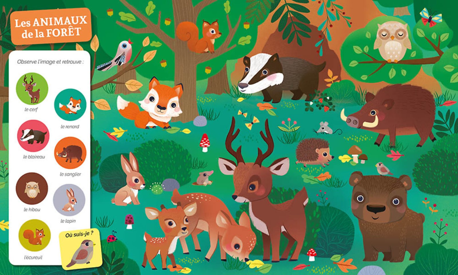 Cherche et trouve des tout-petits – Chez les animaux – Auzou