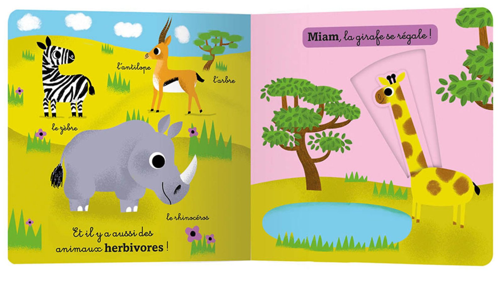 Mon anim’agier – La jungle et la savane – Auzou