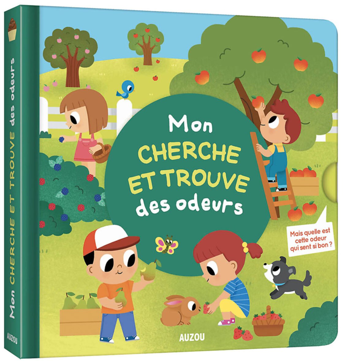 Mon livre des odeurs et des couleurs – Mon cherche et trouve des odeurs – Auzou