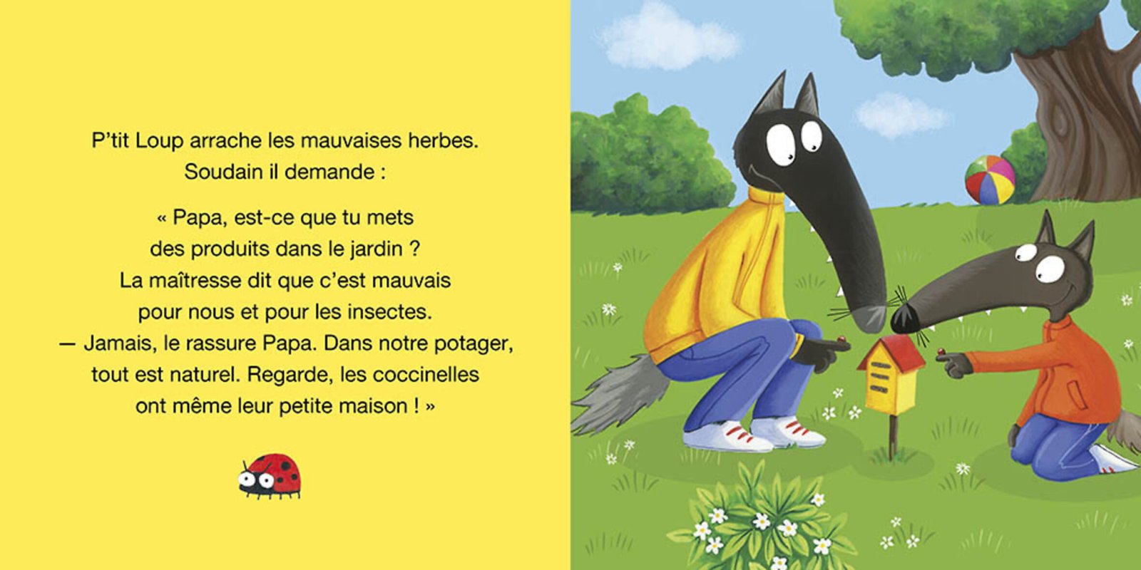P’tit Loup sauve la planète – Auzou