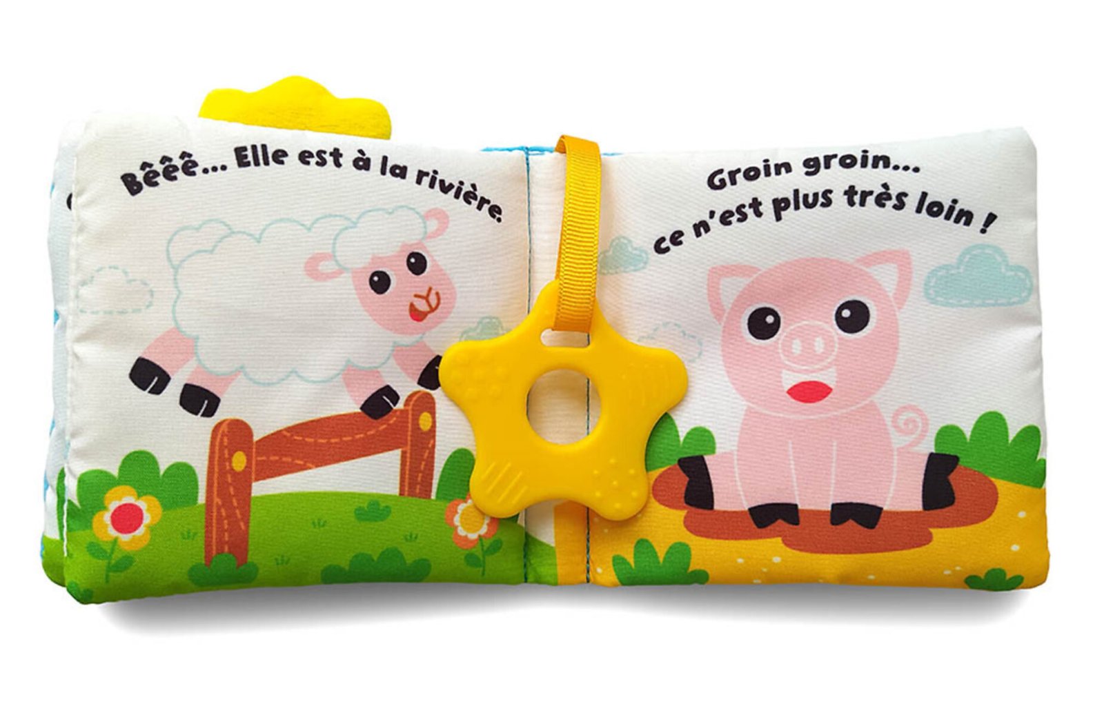 Petit canard – Auzou