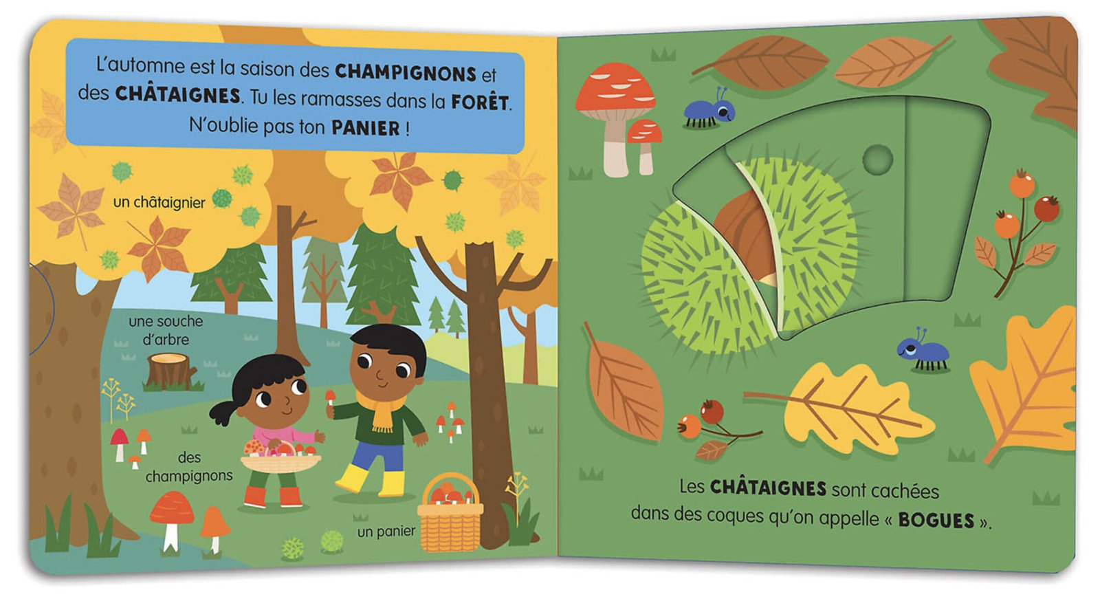 Mon anim’agier – L’automne – Auzou