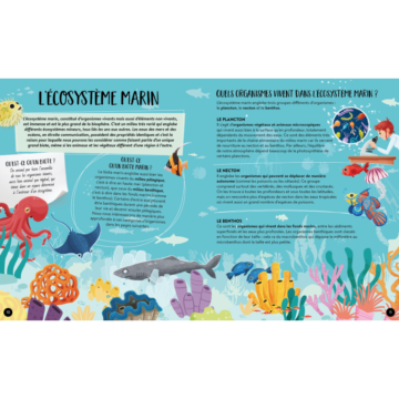 La Mer – Quoi, Comment, Pourquoi – Sassi Junior