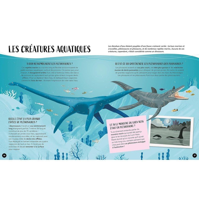 Les Dinosaures – Quoi, Comment, Pourquoi – Sassi Junior