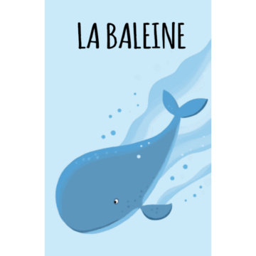 La Mer – Ma Petite Bibliothèque – Sassi Junior