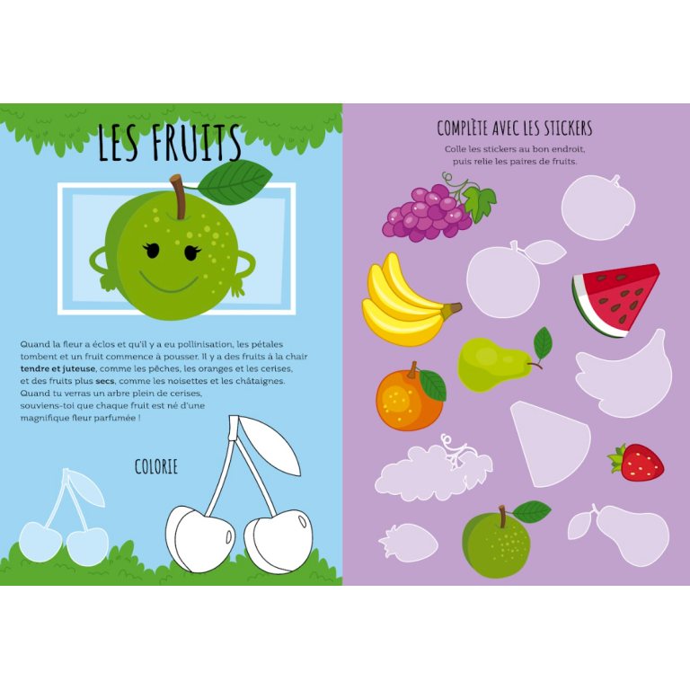 Autocollants et Activités – La Nature – Sassi Junior
