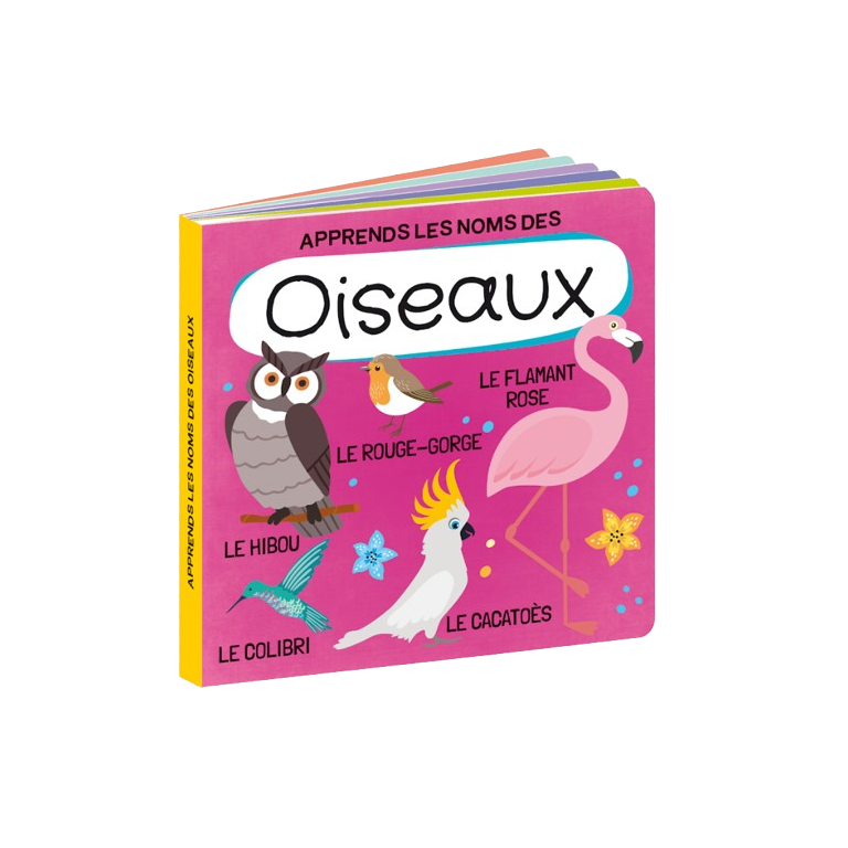 Le Monde des Oiseaux – Q-Box – Sassi Junior