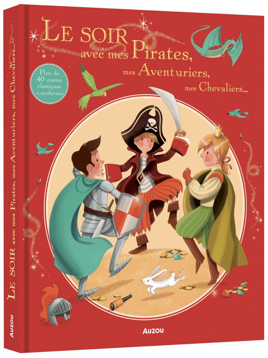 Le soir avec mes Pirates, mes Aventuriers, mes Chevaliers… NED