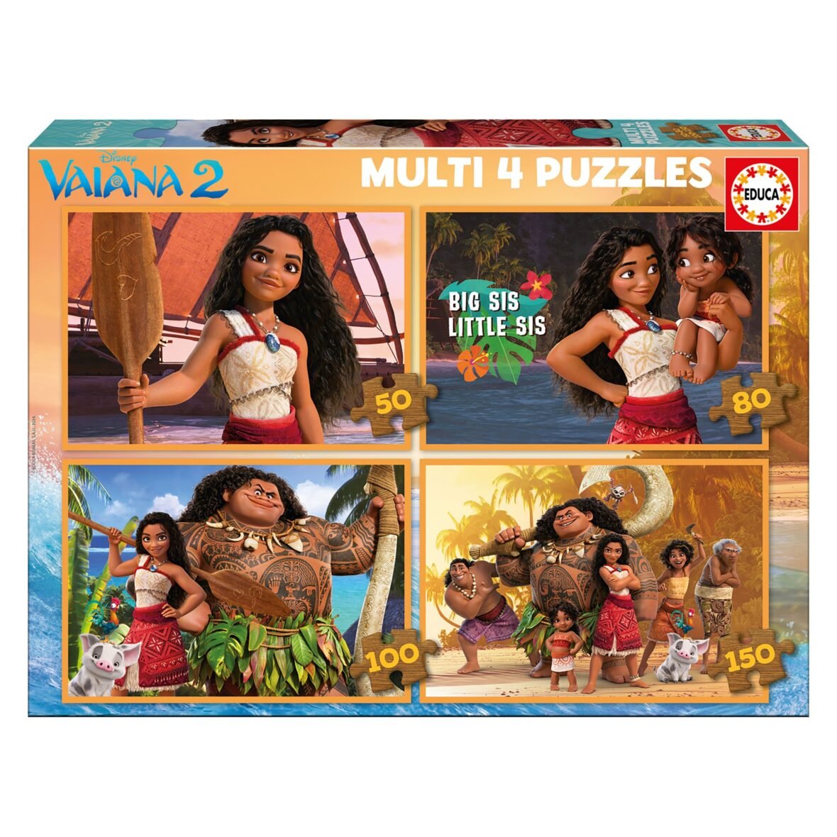 MULTI 4 PZL VAIANA 2
