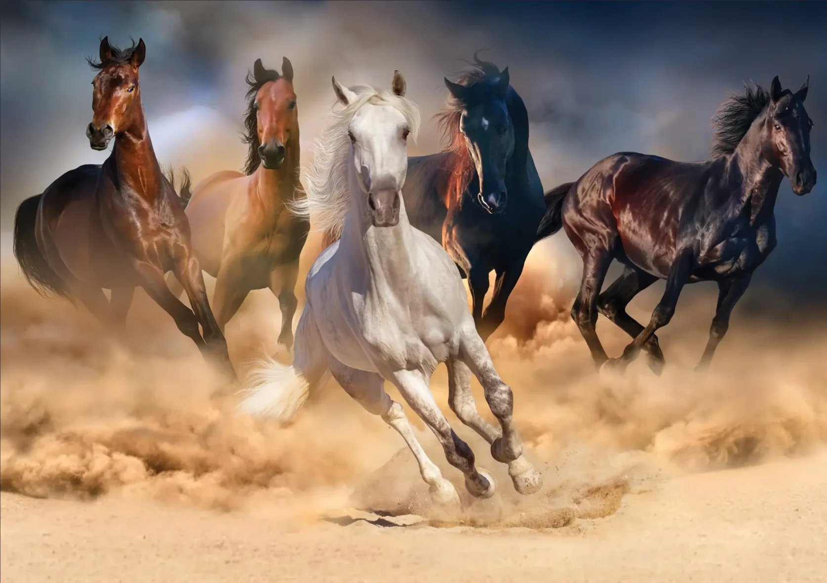 Puzzle – Chevaux Sauvages – 1000 pièces – KS Games