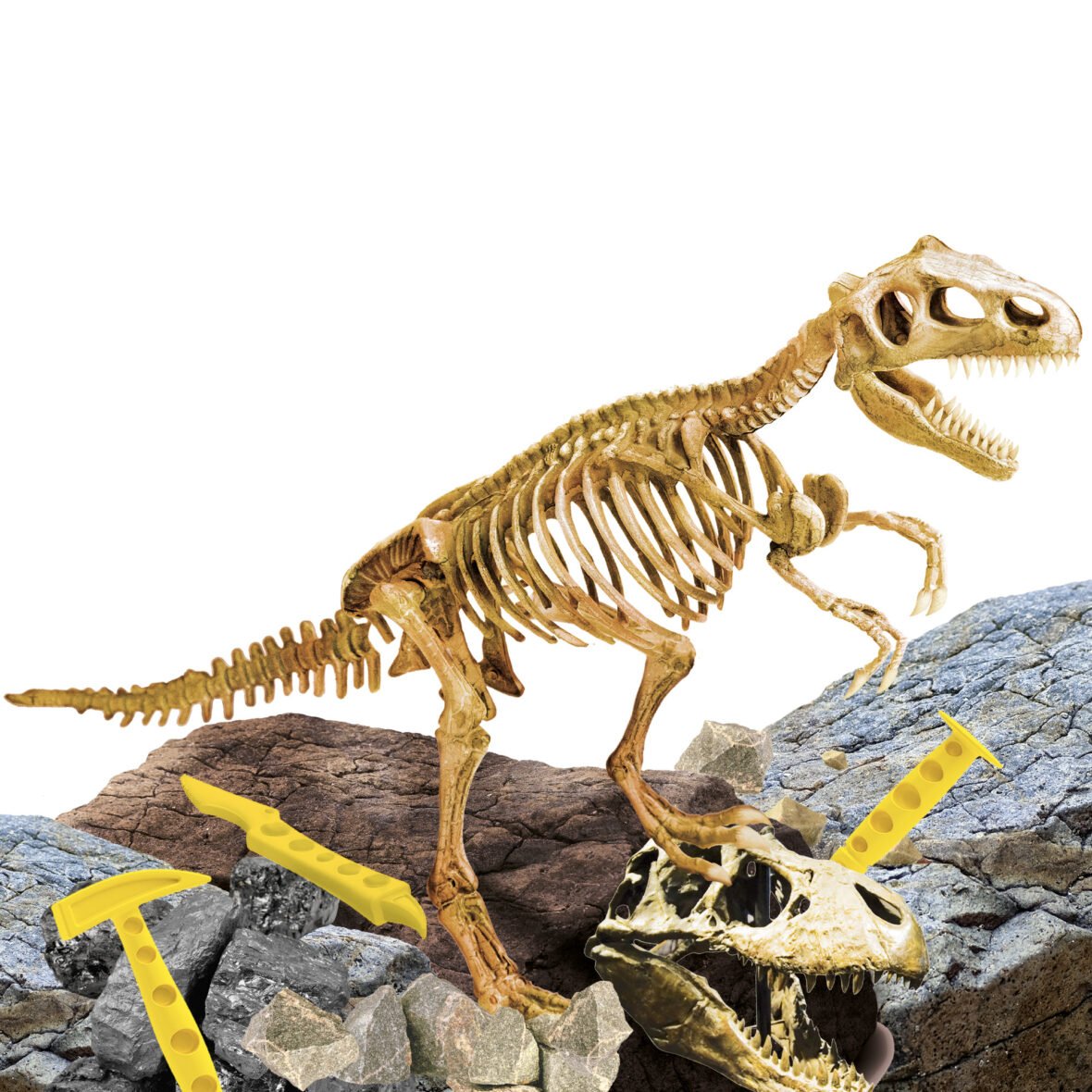 Coffret de Fouille Super Kit T-Rex – Lisciani